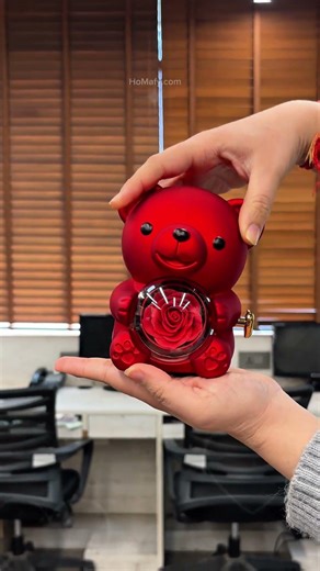 Homafy Red Teddy Pendant Gift Box