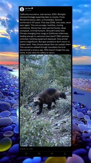 The Ghost That Returned After 100 Years 👻🕰️ #Shorts #Mystery #Paranormal #CreepyStory #Viral