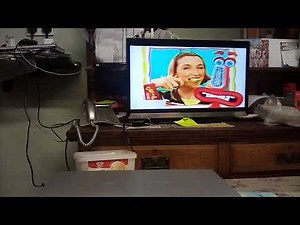 CBeebies on BBC two continuity December 2006