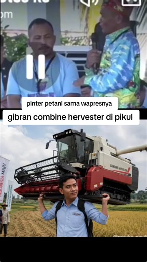 Combine harvester dipikul: cara petani pindahkan alat panen