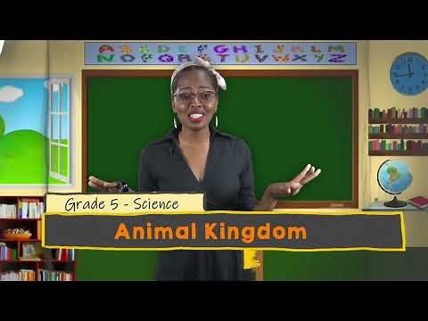 Science - Grade 5: Animal Kingdom