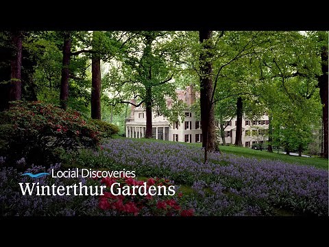 Delaware Local Discoveries: Winterthur Gardens