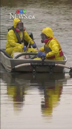 Invasive fish in stormwater ponds would eventually end up in waterways