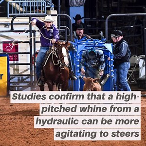14K views · 63 reactions | Become an expert at cattle handling with our technique tips: https://www.aqha.com/-/cattle-handling-techniques-for-ropers?utm_source=fb&utm_medium=post | American Quarter Horse Association | Facebook