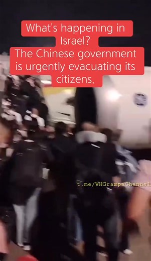 Flat Lander on Reels