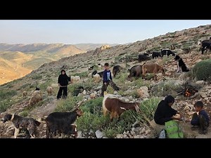🏔️ How Do Iran's Nomads Really Live? |🔥🐐 Shepherding, Mountain Survival & Traditional Daily Life