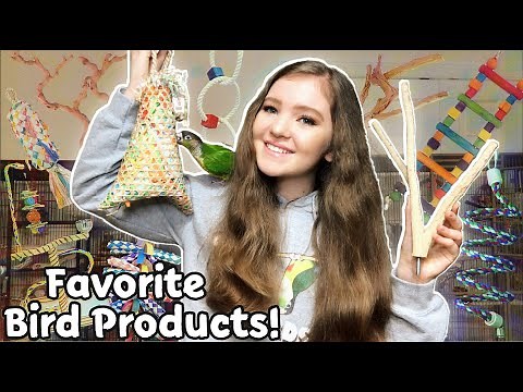 10 Favorite Bird Products I Can’t Live Without!