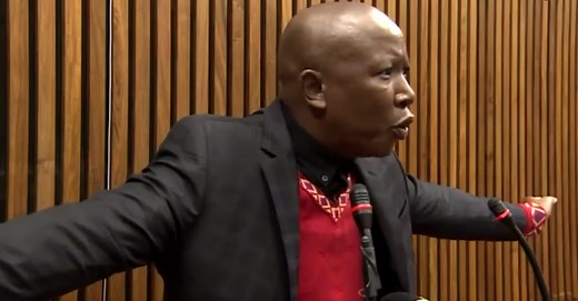 WATCH | Malema testifies in assault case