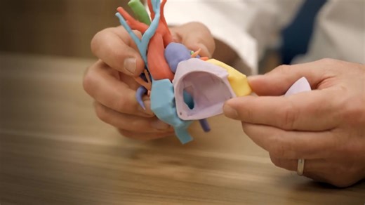 Arkansas Children’s Heart Institute is the state's only comprehensive pediatric cardiac care program and ranks among seven Arkansas Children’s specialties in U.S. News & World Report, 2024-2025. We provide world-class care in pediatric cardiology through diagnosing and treating congenital heart diseases and heart conditions in infants, children, adolescents and adults. Arkansas Children’s pediatric cardiology experts care for patients through the Fetal Heart Center, Children’s Cardiology Clinic,