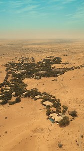 Plan your trip to Dubai and make memories just like Virat & Anushka | Visit Dubai