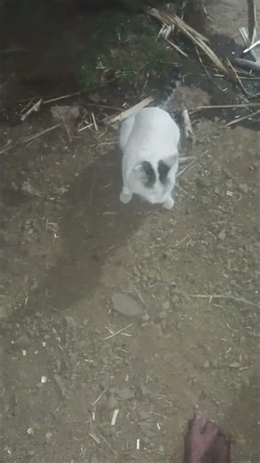 vsjc box icon soon C jl pb bp icon book unani jDlo