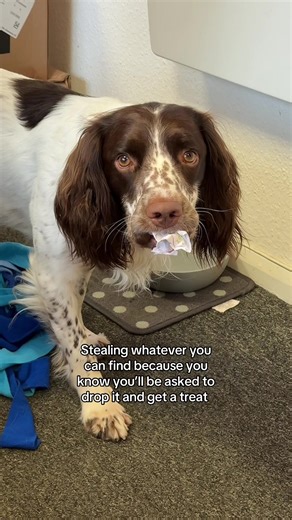 Barney | UGC creator on TikTok