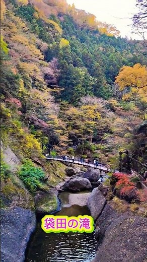 袋田の滝 4K｜日本最美瀑布之一｜茨城縣的絕景秘境#标签#袋田の滝 #日本旅行 #茨城景點 #4K #瀑布 #絶景 #旅遊Vlog #自然風光 #automobile #旅行 #travel