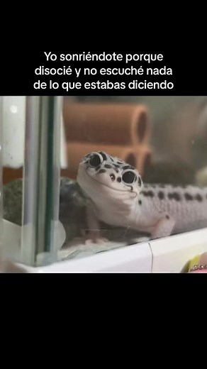Soy #humor #comedia #memes | Issi Gómez
