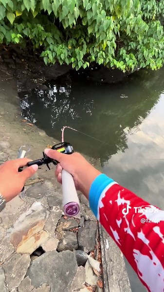 Mana Sy Tau on TikTok