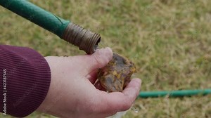 Rock bing rinsed to look at texture and color after tumbling stage while polishing stones.