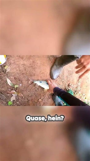 Giant on the edge! That fight was a real winner!