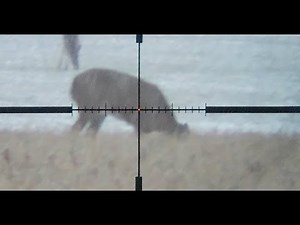 Late Season Doe Management Hunt with .450 Bushmasters