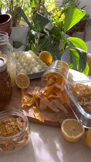 Preserve Lemons Four Ways