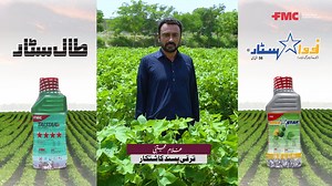 طال سٹار اور نوواسٹا رکا انتخاب محفوظ فصل ، بھرپور پیداوار!! #FMC #Agriculture #Crops #Farmer #Cotton #FMCPakistan #Talstar #Novastar# kisankikahani | FMC Pakistan