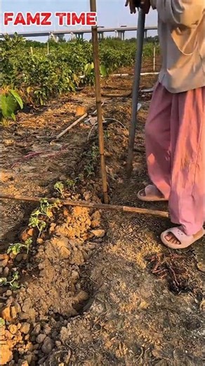 Simple Tool, Big Power! Easy Hole-Making for Farming”#FarmingTools #EasyDigging#GardenWork#HandyTool