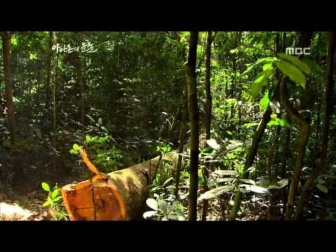 Tears of the Amazon, EP04, #01, 아마존의 눈물, 4회 20100129