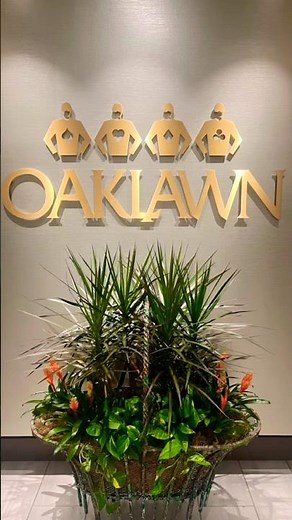 A Day at Oaklawn Racing Casino Resort! 🐎🎰 (Hot Springs, AR)