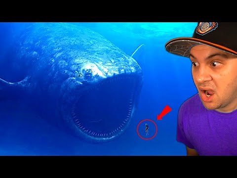 Unbelievable BLOOP FOOTAGE Caught On Camera!