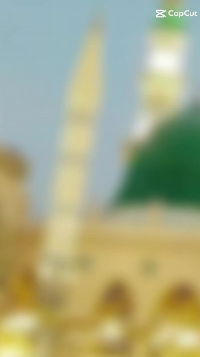 চাঁদপুরের ছেলে on TikTok