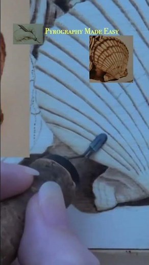 Wood Burning a Scalloped Sea Shell