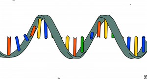 RNA Modification Found to be Important to Neural Development | Cell And Molecular Biology