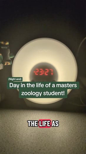 Olli on Instagram: "it is currently 8.4Opm, I am still running data. spent the last 3 hours listening to "am a man or a Muppet on loop". I see loading bars and the ArcGIS logo when close my eyes. As you can tell, everything is going great. #sciencetok #zoology #bangoruniversity #z0ologystudent #unistudent"