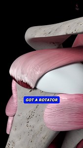 💥 Rotator Cuff Tear FIX! 💥 Struggling with shoulder pain that wrecks your sleep, lifts, or overhead reach? If you’ve been stuck doing the same PT exercises and still feel weak or unstable, here’s why 👇 The problem isn’t just inflammation. It’s that your rotator cuff has no control—so other muscles compensate and your shoulder keeps breaking down. Stretching and band pull-aparts won’t fix this. 🛠️ Here’s what we use at Comeback Performance to rebuild a torn or irritated cuff: 🔄 Banded Roll B