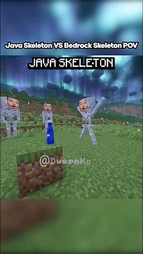 Java vs bedrock skeleton pov💀 #minecraft