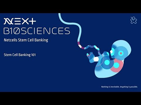 Everything You Need to Know About Stem Cell Banking