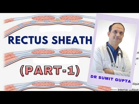 RECTUS SHEATH : FORMATION