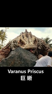 4.7K views · 26 reactions | Man encounters monitor lizard in wild #movie #movieclips | 经典大本营 | Facebook