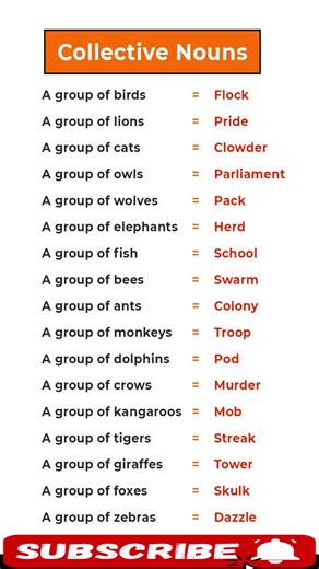 I Mastered Collective Nouns in 30 Seconds and You Can Too
