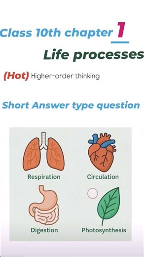practice questions #smartstudy # class 10th # chapter 1 life processes ## like and share