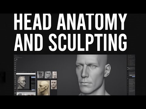 Head Anatomy & Sculpting Exercises – Master the Structure of the Head Part 2