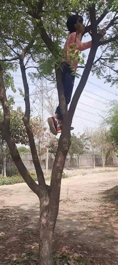 Brain activity Tree climbing to imorove Logic & reasoning | Homeschooling #ashishdabas #parenting