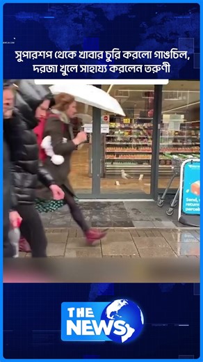 সুপারশপ থেকে খাবার চুরি করলো গাঙচিল - দরজা খুলে সাহায্য করলেন তরুণী | The News BD