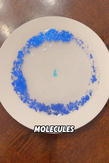 Exploring the Surface Tension of Water