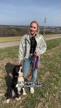 Glyphosat im Gewässer - Wer ist Schuld?