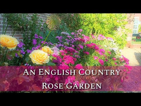An English Country Rose Garden