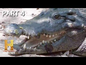 The Hunt for the 40-Foot Crocodile | MonsterQuest | Full Episode (Part 4) | History