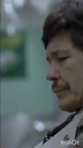 Charles Bronson-Death Wish II. 1982 ‧ Action/Thriller