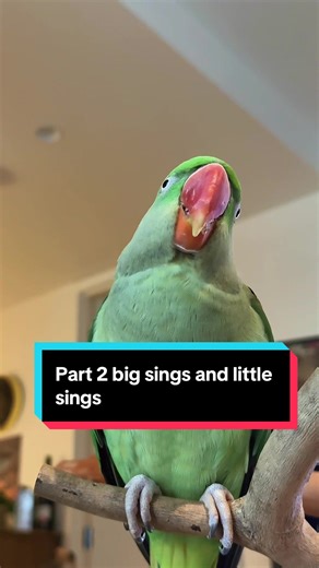 Singing Lesson with Yoshi: Exploring Big and Little Sings