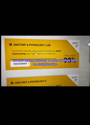We help with courses and lab classes on Straighterline. DM us if you need help with other courses as well. #straighterline #straighterlinehelp #straighterlineexamhelp #straighterlinecourses #proctoredexam #proctoredexam #nursingstudent #nursingschool #nursingschoolhacks #prenursing #prenursingstudent #nursingexams