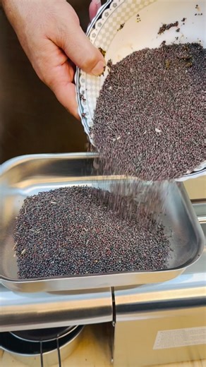 Stainless steel oil extract machine | Every home need official